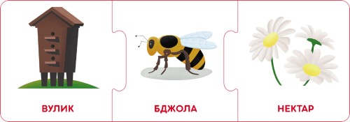 Логічні ланцюжки. Світ тварин. Хто де живе і що їсть
