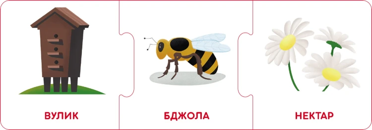 Логічні ланцюжки. Світ тварин. Хто де живе і що їсть