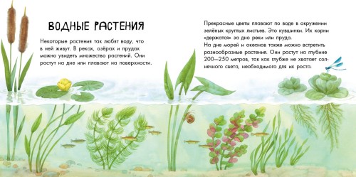 Про растения