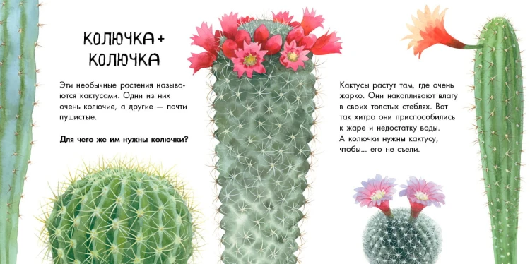 Про растения