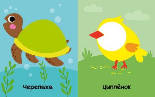 На кого похожи животные?