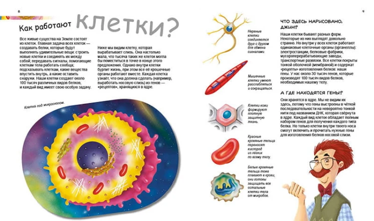 Герои и злодеи в нашем теле