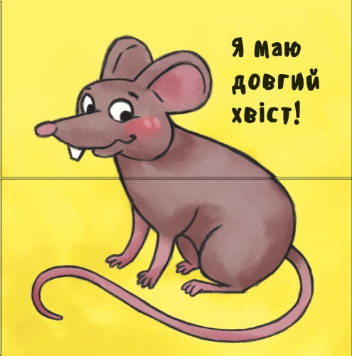 Отакі схожі