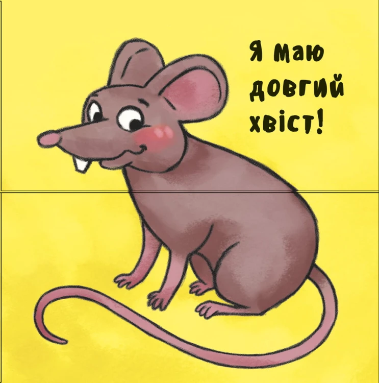 Отакі схожі