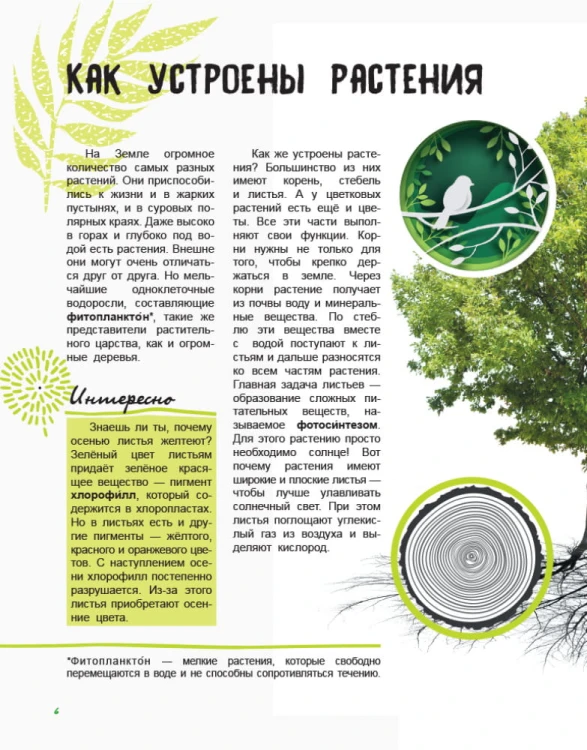 Жизнь леса