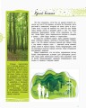 Жизнь леса