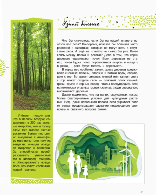 Жизнь леса