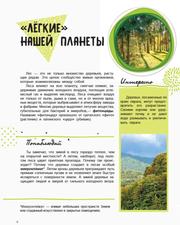 Жизнь леса