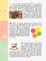 Картки на кожен день. Скоро 4 клас