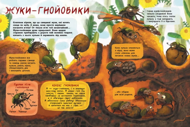 Таємне життя комах