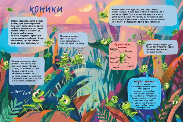 Таємне життя комах
