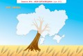 Розум на кінчиках пальців (І Панасюк, 1 кл. 1 ч.) Альбом для синхронного розвитку обох півкуль мозку