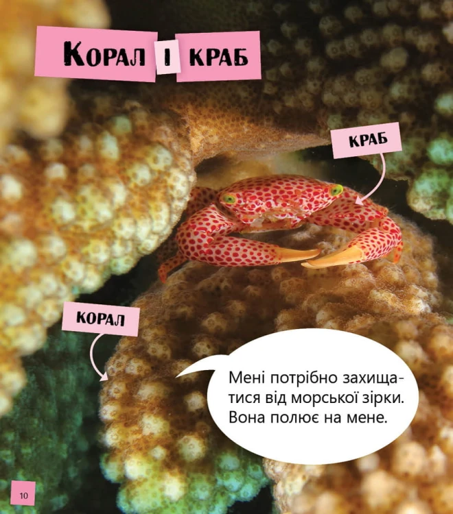 Космос, повітря, вода і не тільки... Рівень 2