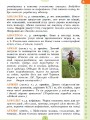 Ілюстрований словник-помічник з української мови. 1-4 класи КДН013