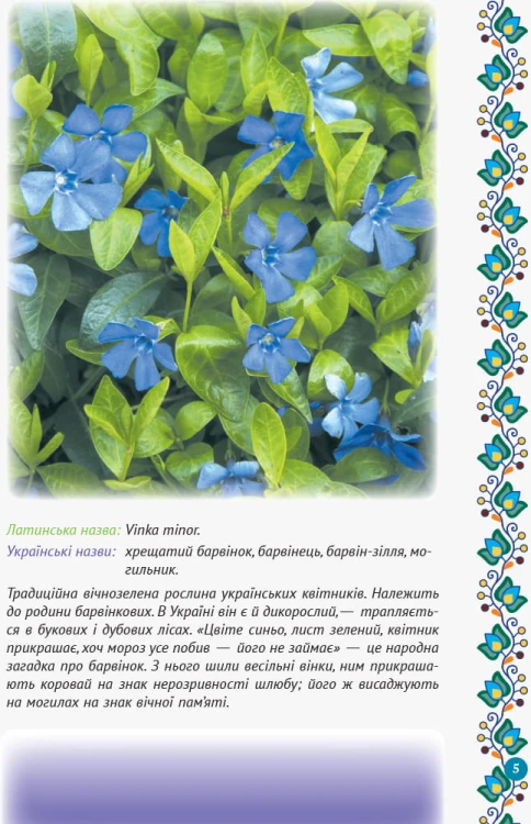 Зірка Мензатюк. Український квітник