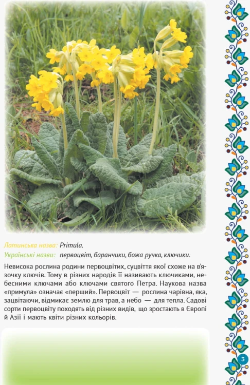 Зірка Мензатюк. Український квітник