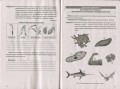 Біологія і екологія 11кл Зошит для практикуму. Профільний рівень