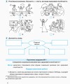 Робочий зошит. Основи здоров’я. 7 клас
