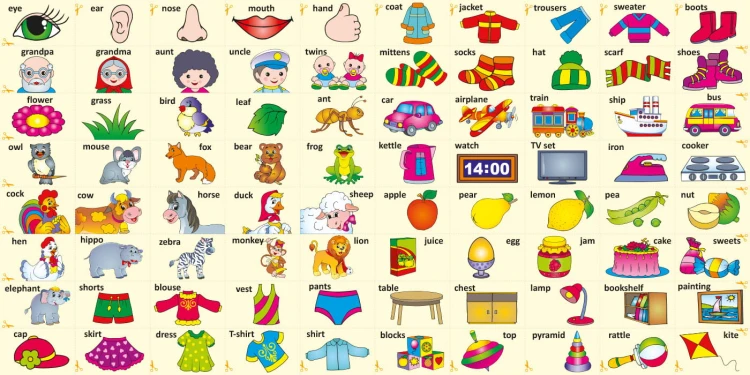 Розвивалочка. Вивчаємо English