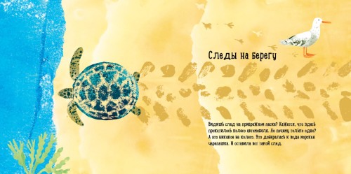 Куда девалась черепаха?