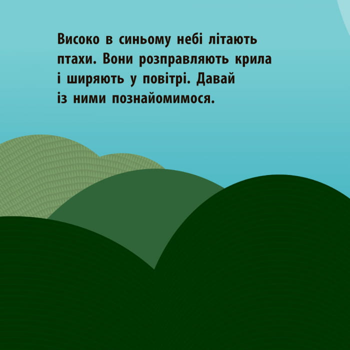 Повітряний екіпаж