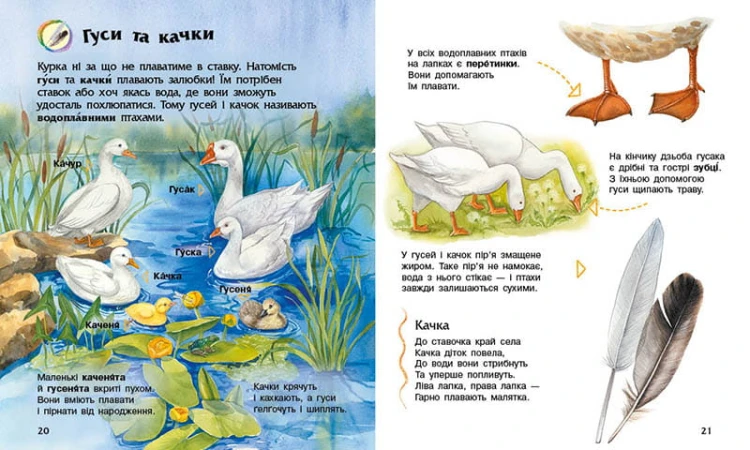 Свійські тварини