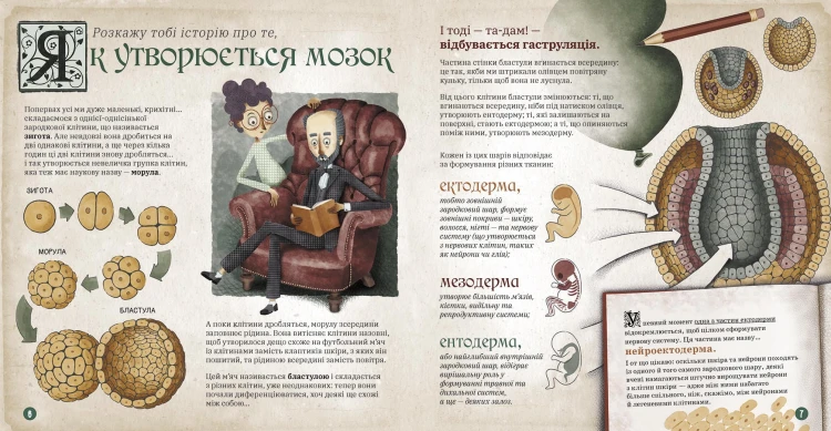 Як працює людський мозок