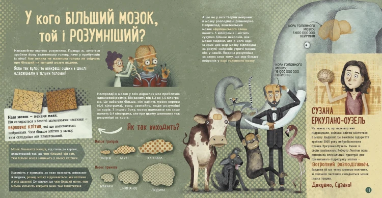 Як працює людський мозок