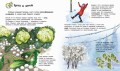 Явления природы