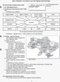 Українська мова та читання. 2 клас. Розробки уроків. ч. 1