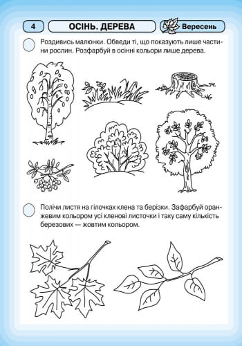 Промінчики знань. 4+ Робочий зошит. Інтегровані заняття ДИТИНА