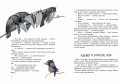 Дачные истории