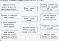 НУШ 3 клас Вчимося писати в широку лінійку