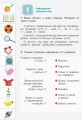 НУШ 2 клас Інформатика Робочий зошит