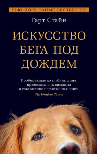 Искусство бега под дождем
