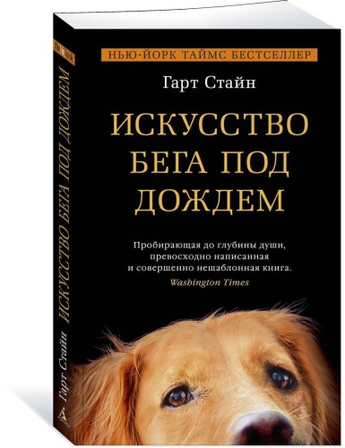 Искусство бега под дождем