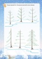 Зимові забави. 6+. Activity Book АКБ006