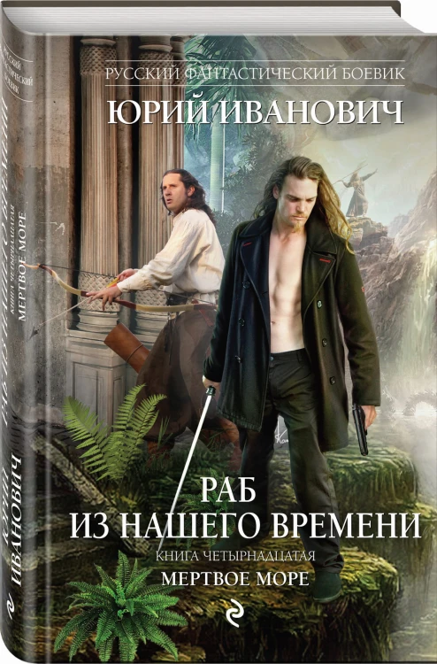 Раб из нашего времени. Книга четырнадцатая. Мертвое море