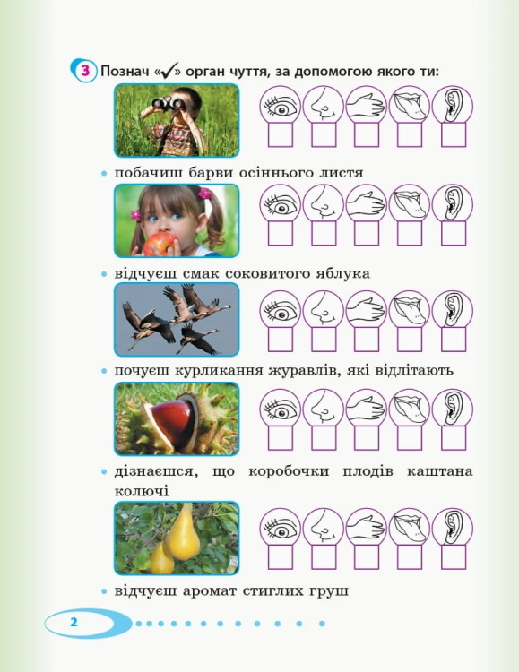 Я досліджую світ. 2 клас. Робочий зошит до підручника І. Андрусенко. ч. 1