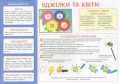 Творчість в дитячому садку.2 частина.3-4 років