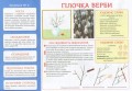 Творчість в дитячому садку.2 частина.3-4 років