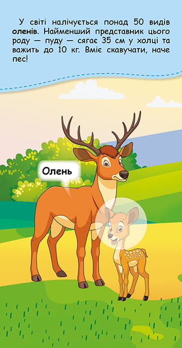Книжка у кишеню з наліпками. Де чий малюк?