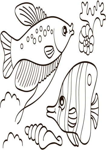 Море
