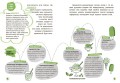 Сьогодні вже вчора? Книжка, яка пояснює все про історію