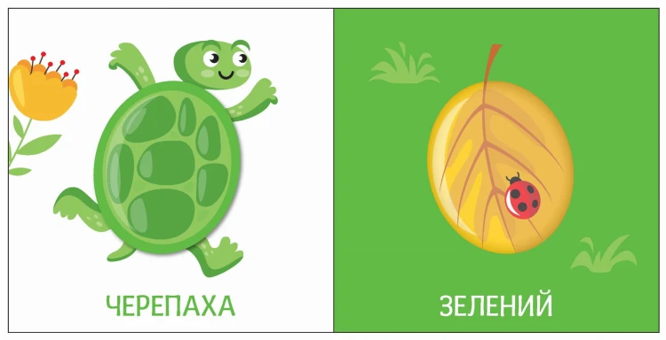 Кольори