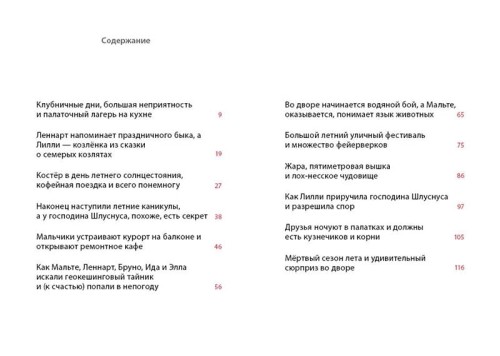 Лето на Бузиновой улице
