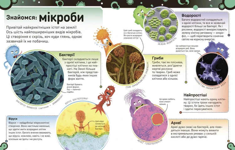 Небачені бактерії