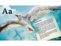 ПтахАбетка. Українські пернаті