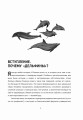 Переговоры с дельфинами
