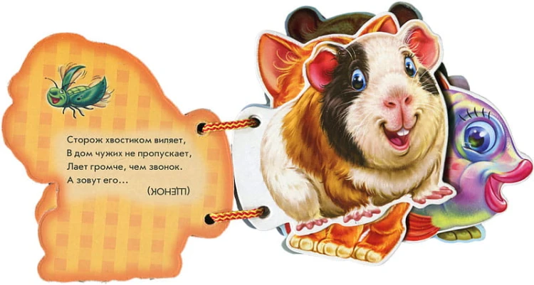 Наши любимцы